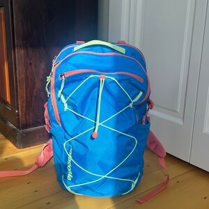 Patagonia 30 L Refugio Daypack.